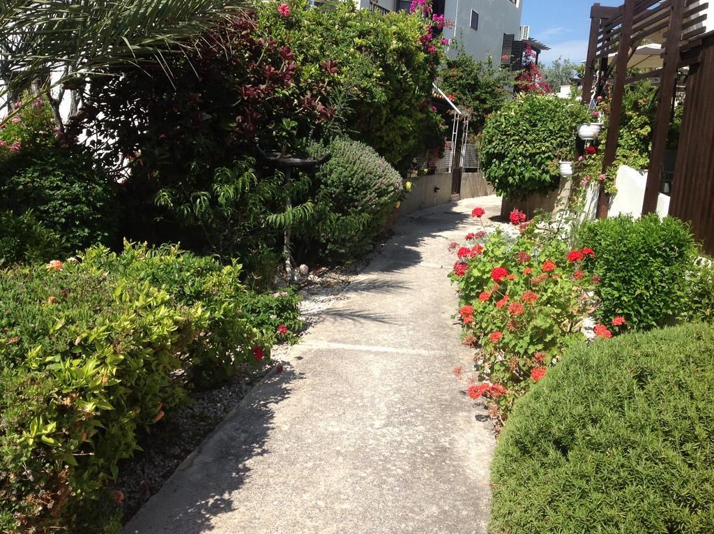 Paphos Townhouse Villa Eksteriør billede